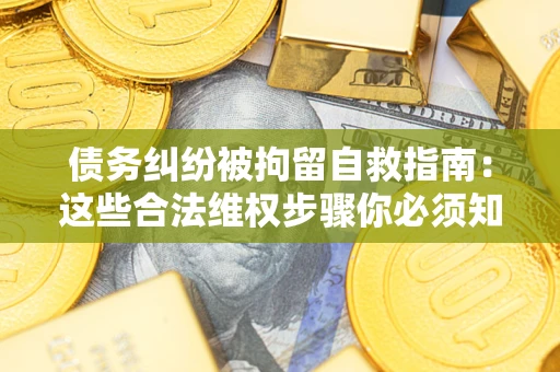 北京债务纠纷被拘留自救指南：这些合法维权步骤你必须知道！