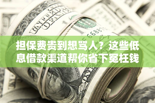 北京担保费贵到想骂人？这些低息借款渠道帮你省下冤枉钱