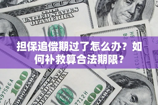 北京担保追偿期过了怎么办？如何补救算合法期限？