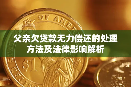 北京父亲欠贷款无力偿还的处理方法及法律影响解析