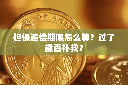 北京担保追偿期限怎么算？过了能否补救？